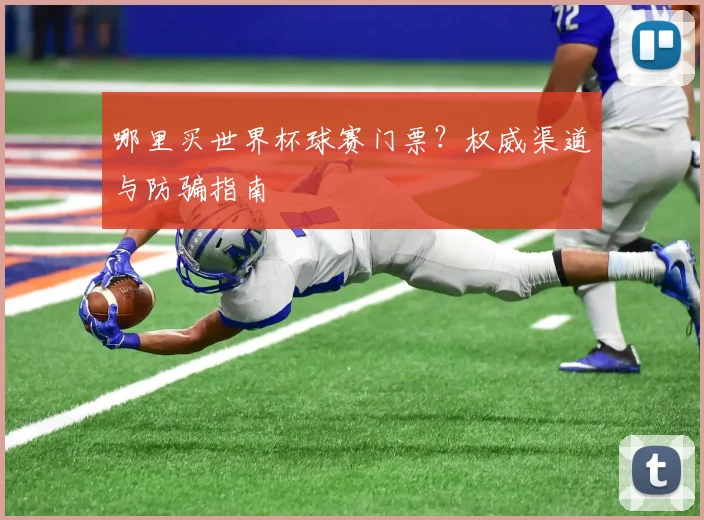 哪里买世界杯球赛门票？权威渠道与防骗指南
