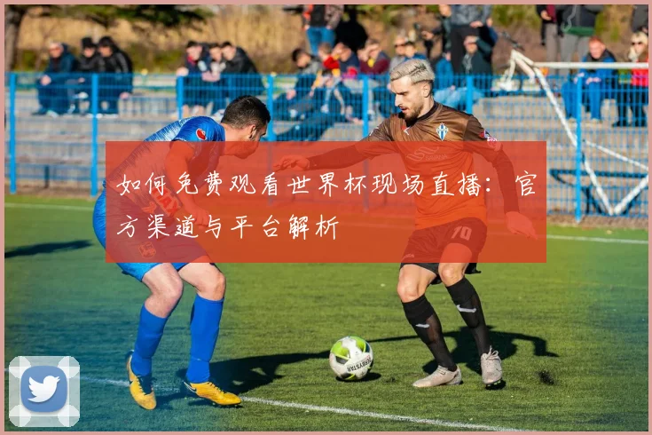 如何免费观看世界杯现场直播：官方渠道与平台解析