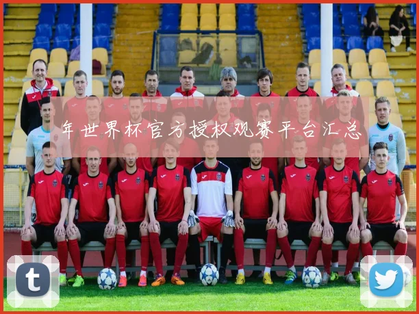年世界杯官方授权观赛平台汇总